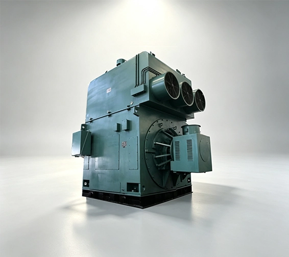 High Voltage Asynchronous Motors